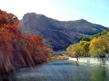 管家婆黑白马报图库，交接箱